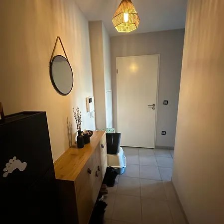Appartement T2 Avec Jardin Privatif