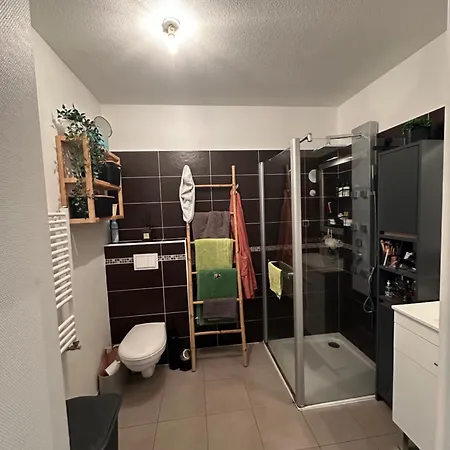 Appartement T2 Avec Jardin Privatif *